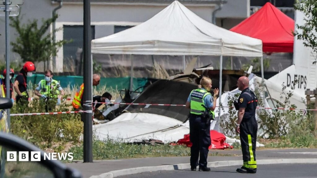 Eleven killed after plane carrying skydivers crashes in eastern France 3 Eleven killed after plane carrying skydivers crashes in eastern France