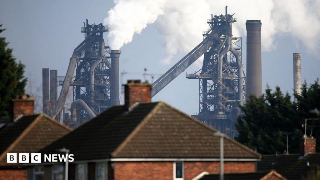 Why has British Steel been nationalised? 8 Why has British Steel been nationalised?