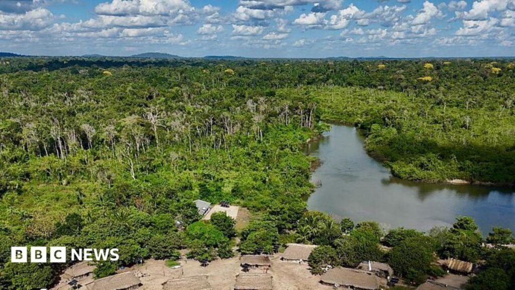 Brazils Amazon sees sharp decline of area burned in 2025 14 Brazil's Amazon sees sharp decline of area burned in 2025
