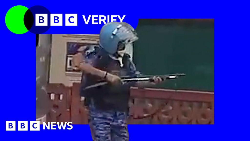 India cockroach protests: Videos of officers firing pellet guns 26 India cockroach protests: Videos of officers firing 'pellet guns'