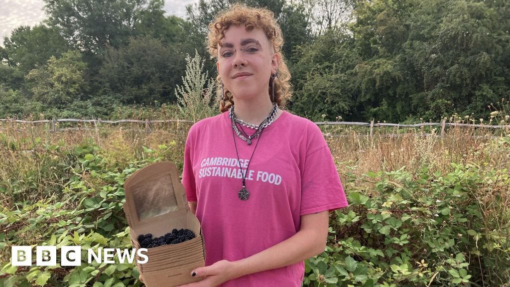Cambridge group provides blackberry boxes to low-income families 36 Cambridge group provides blackberry boxes to low-income families