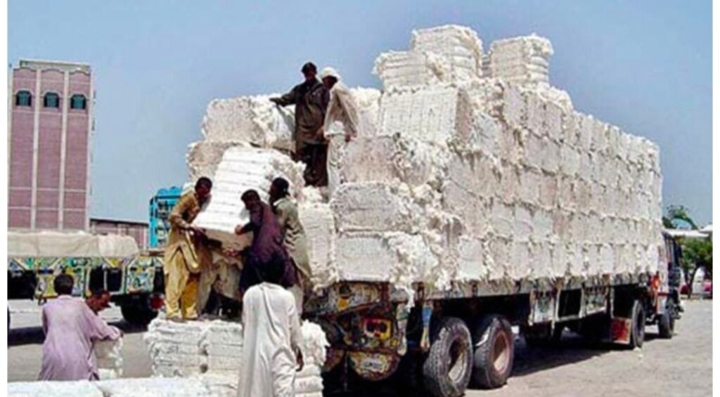 Pakistan-China Ties Open New Era for Cotton Research and Mechanisation: Adeel Munawar 4 IMG 20260706 WA2545