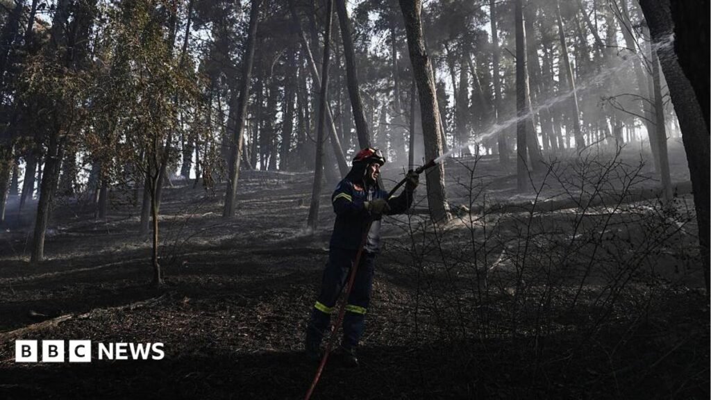 Greece wildfire leaves two dead as firefighters struggle to contain blaze 18 Greece wildfire leaves two dead as firefighters struggle to contain blaze