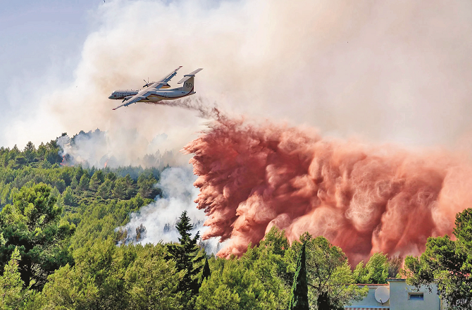 France: Forest Fires Amid Extreme Heat Scorch 900 Acres, Thousands Displaced 4 bujhane 0606 d