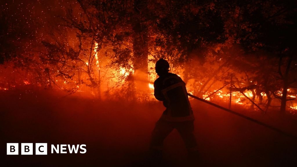 Watch: Wildfires rage across Spain and France 29 Watch: Wildfires rage across Spain and France