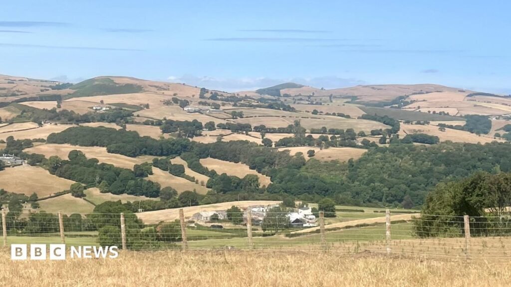 Drought announcement looms for parts of Wales over river levels 14 Drought announcement looms for parts of Wales over river levels