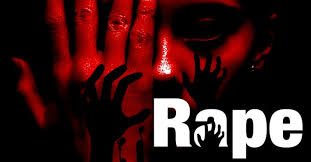 Lahore Police Arrest Relative of Pakistan's Deputy PM Ishaq Dar in Alleged Kidnapping and Gang Rape of Two Foreign Women 6 images 16
