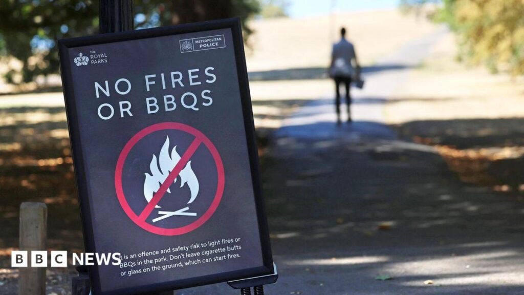 Temporary disposable barbecue ban over wildfire risk 4 Temporary disposable barbecue ban over wildfire risk