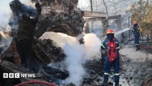 Two dead and hundreds evacuated as wildfires break out near Athens 2 Two dead and hundreds evacuated as wildfires break out near Athens