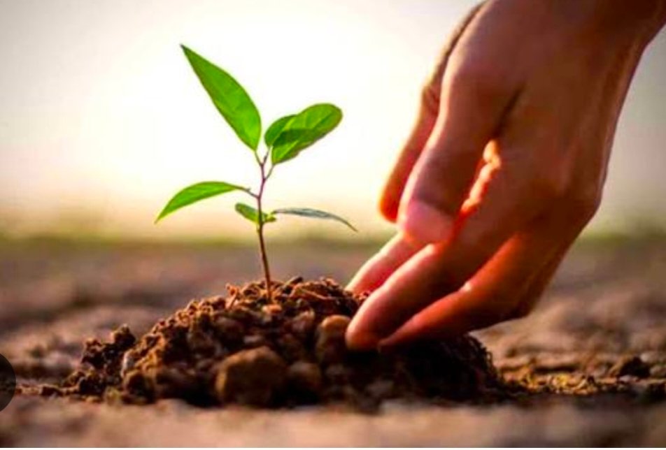Horticulture Agency Accelerates Preparations for Winter Plantation Drive 20 IMG 20260828 WA2617