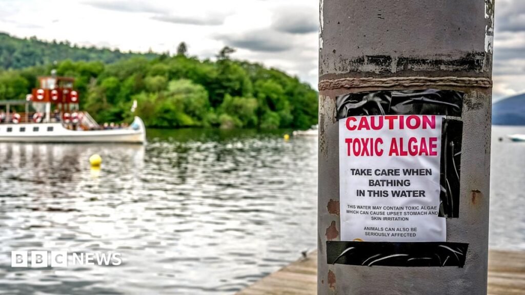 Majority of Englands rivers and lakes fail pollution review 16 Majority of England's rivers and lakes fail pollution review