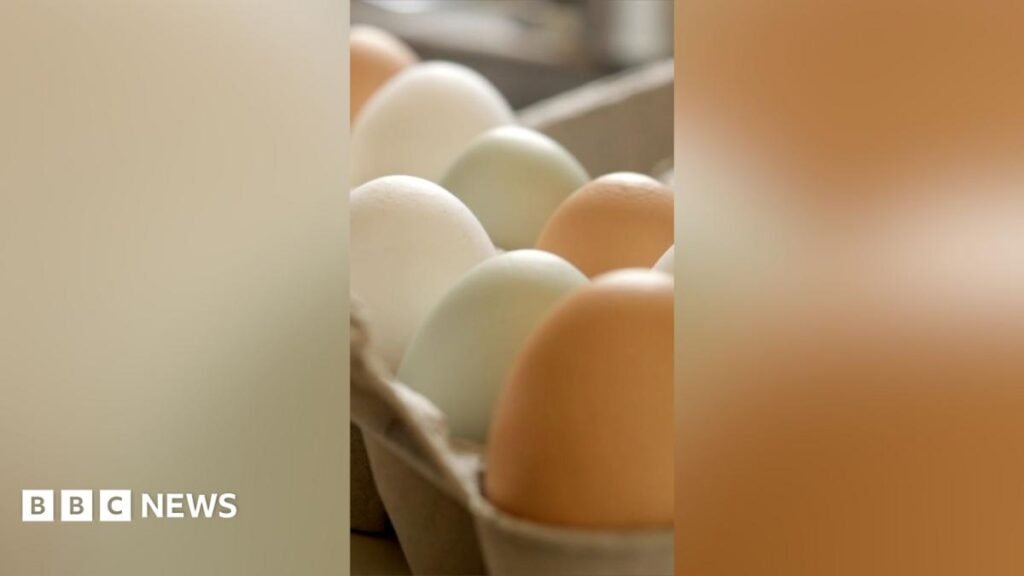 UK salmonella outbreak leaves one dead and hundreds ill 10 UK salmonella outbreak leaves one dead and hundreds ill