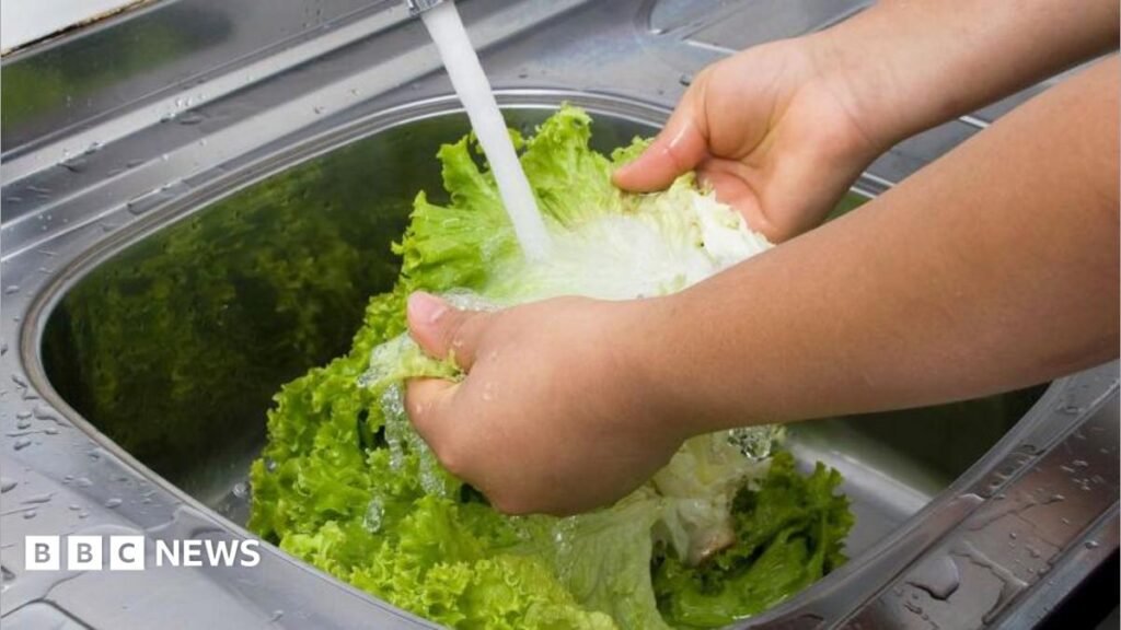 Michigan reports first two deaths linked to cyclospora outbreak 28 Michigan reports first two deaths linked to cyclospora outbreak