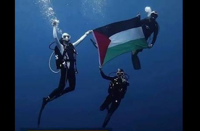 Maldives: Three Arab divers hoist Palestinian flag underwater in show of solidarity 4 flag palestine 3 driver d