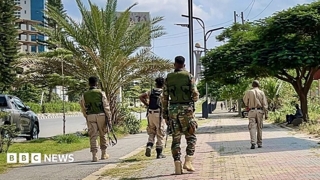 Ethiopia and Tigray accuse each of launching offensives, fuelling fears of new war 21 Ethiopia and Tigray accuse each of launching offensives, fuelling fears of new war