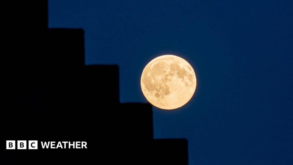 Your pictures of the Harvest Moon glowing in the UK sky 13 Your pictures of the Harvest Moon glowing in the UK sky
