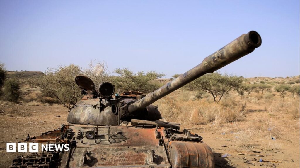 Ethiopia conflict: Seven armed groups form alliance against Abiy Ahmed 29 Ethiopia conflict: Seven armed groups form alliance against Abiy Ahmed