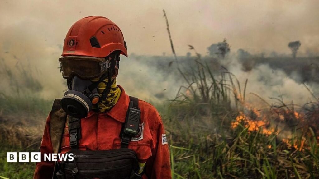Indonesia fires: Toxic haze spreads across South East Asia amid super El Niño 14 Indonesia fires: Toxic haze spreads across South East Asia amid 'super' El Niño