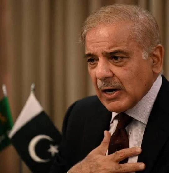 Palestine Highlights PM Shehbaz Sharif's Remarks on Martyrdom of Gaza's Children 33 images 1