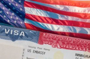Ukrainian Drones Make Russian Airspace Dangerous: Zelensky Warns Airlines 1 usa visa d 1
