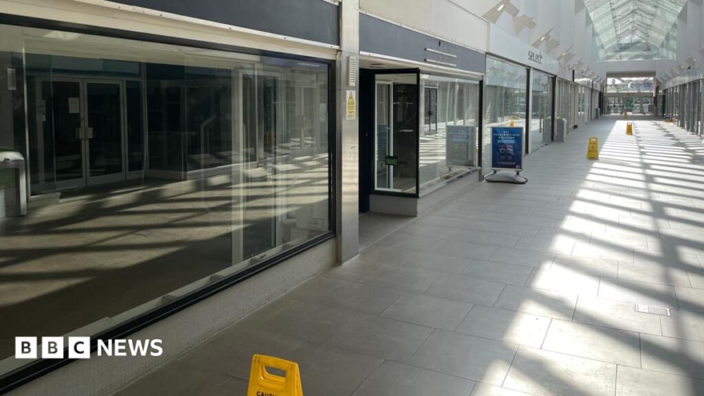 What is the future for our medium-sized shopping centres? 20 What is the future for our medium-sized shopping centres?