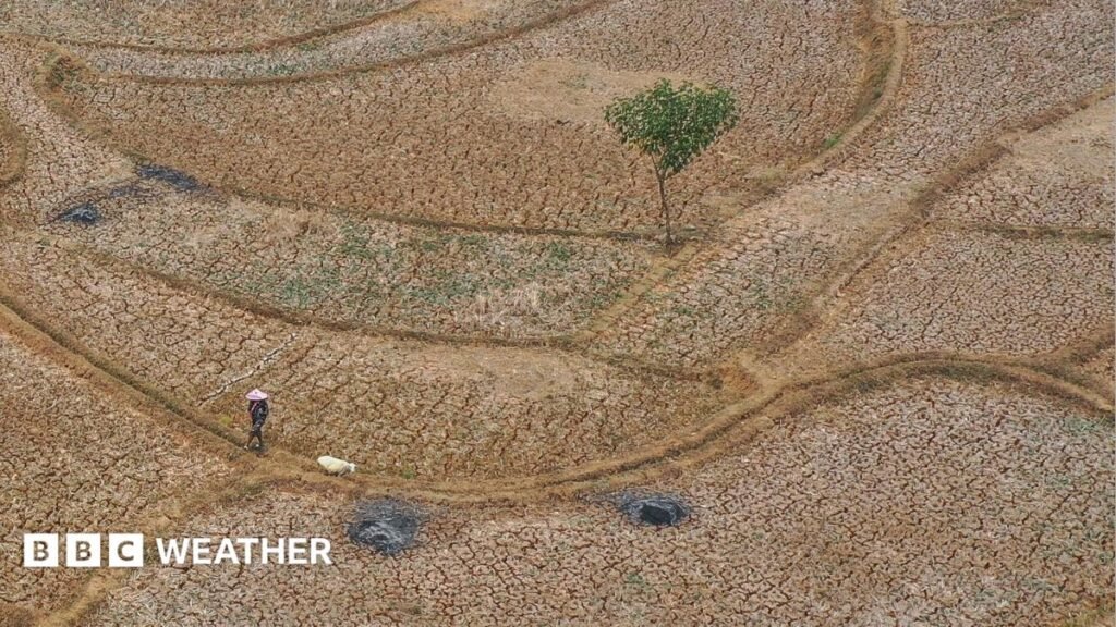 Five ways El Niño is affecting the weather around the world 14 Five ways El Niño is affecting the weather around the world