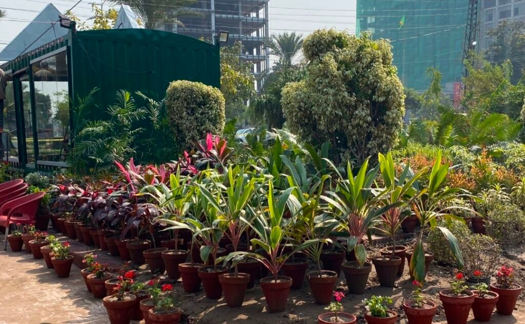 PHA to Establish Nurseries in Every District, Sell Flowers at Subsidised Rates 23 IMG 20261015 WA2579