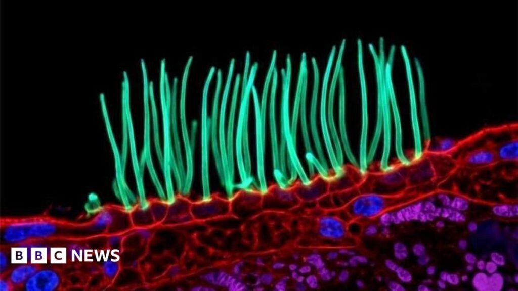 Prize-winning image which sparked backlash was AI-generated, Nikon rules 13 Prize-winning image which sparked backlash was AI-generated, Nikon rules