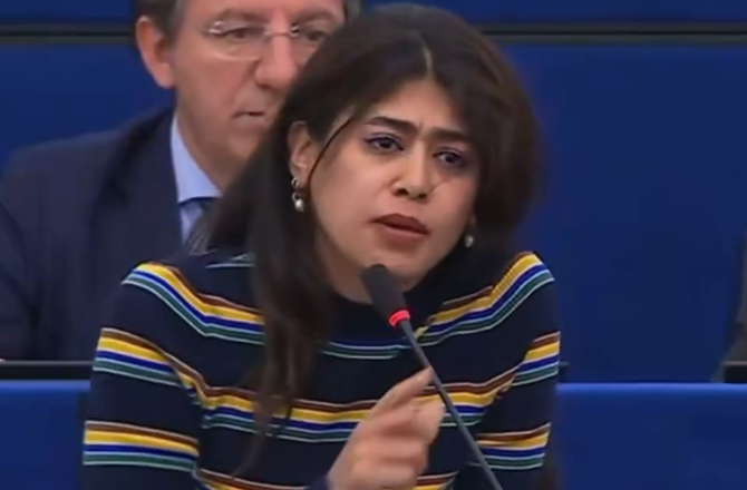 French MEP removes Israeli flag at European Parliament event 36 rma 071026 d