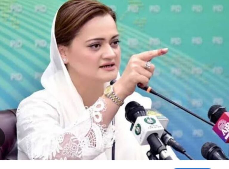 پاکستان مسلم لیگ (ن) کی مرکزی سیکرٹری اطلاعات اور پنجاب کی سینیئر صوبائی وزیر مریم اورنگزیب نےوزیراعظم شہباز شریف کو  زبردست خراج تحسین