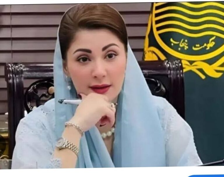 مون سون کے دوران عوام حادثات سے بچنے کے لئے احتیاطی تدابیر پر عملدرآمد ضرور کریں -مریم نوازشریف