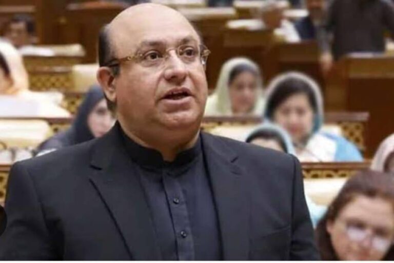 بجٹ میں 1240 ارب روپے ترقیاتی بجٹ رکھا ہے.وزیر خزانہ پنجاب
