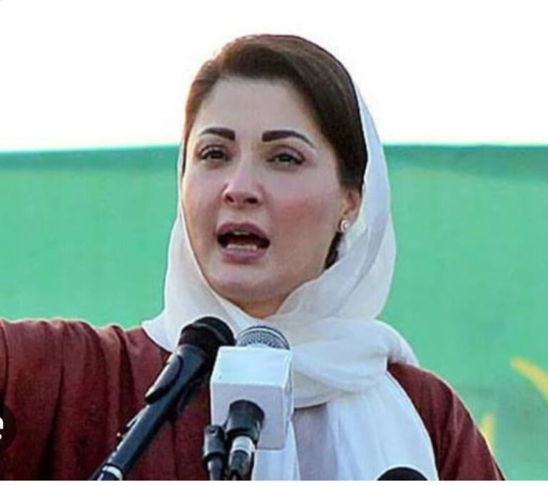 وزیراعلیٰ پنجاب مریم نواز کا بڑا اقدام: "پنجاب انفورسمنٹ اینڈ ریگولیٹری اتھارٹی (پیرا)” کا آغاز