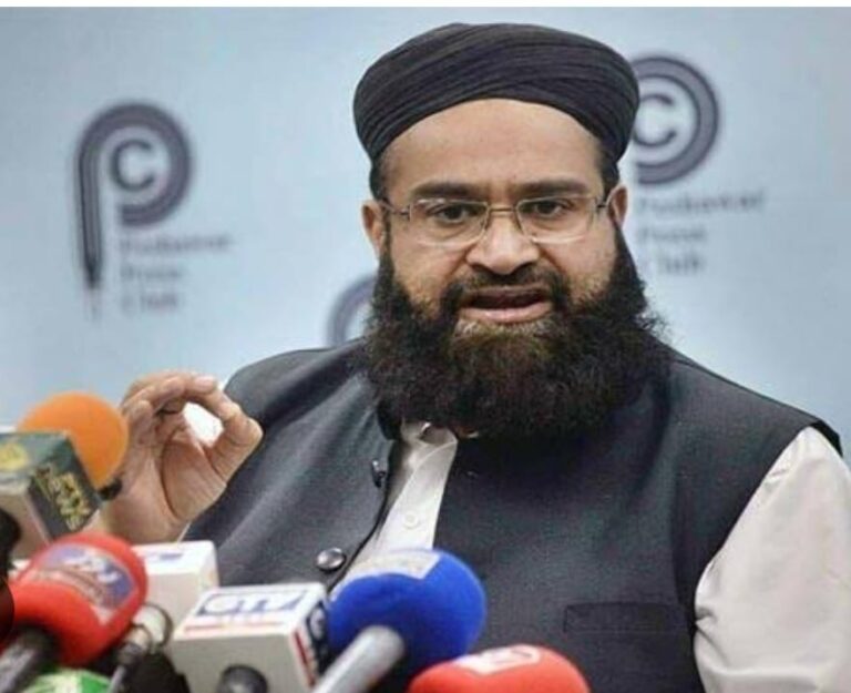 پاکستان عالم اسلام میں نمایاں کردار ادا کر رہا ہے، حافظ طاہر اشرفی