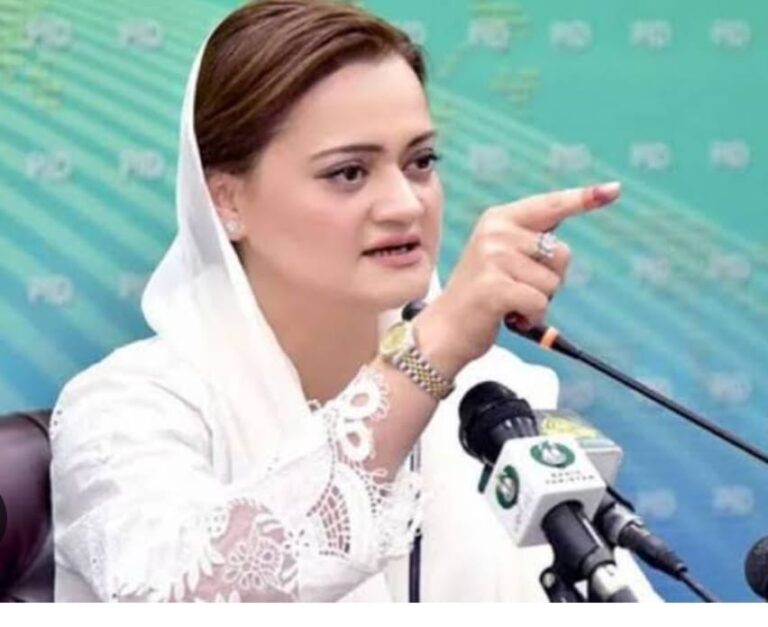 پنجاب میں آلودگی پھیلانے والوں پر بھاری جرمانے نافذ — ‘پے پولیوٹرز رولز’ کا نفاذ، مریم نواز شریف کا اہم اقدام