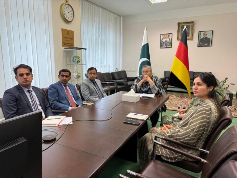 جرمنی میں یومِ استحصالِ کشمیر پر ویبینار؛ اقوام متحدہ کی قراردادوں پر عملدرآمد کا مطالبہ